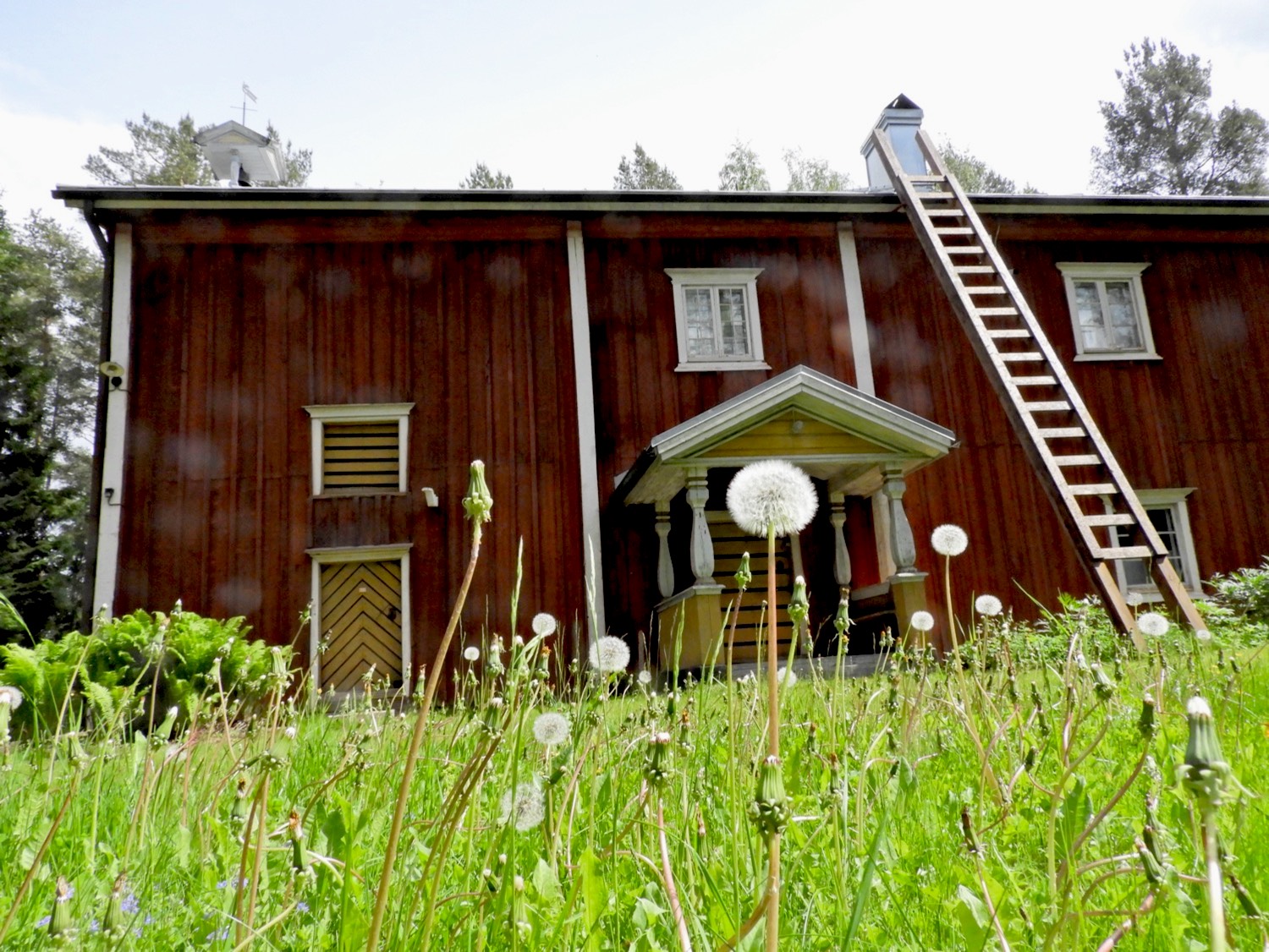 Museon kesä